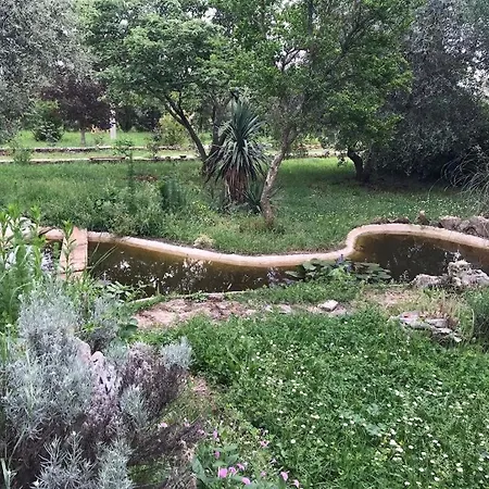 Complex Kanegra 3*